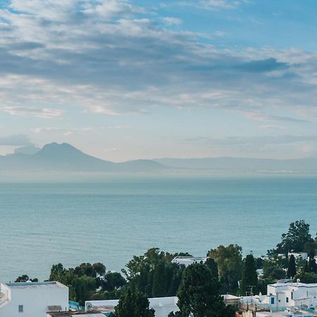 Les Jardins Du Phare De Sidi Bou Said Villa Kültér fotó